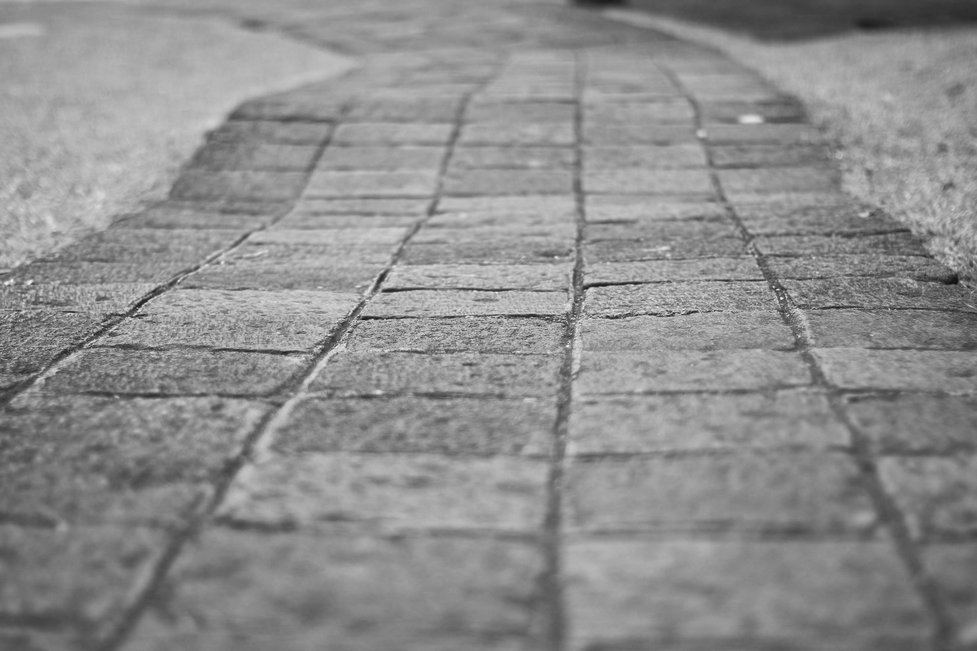 path-2177251_1920.jpg