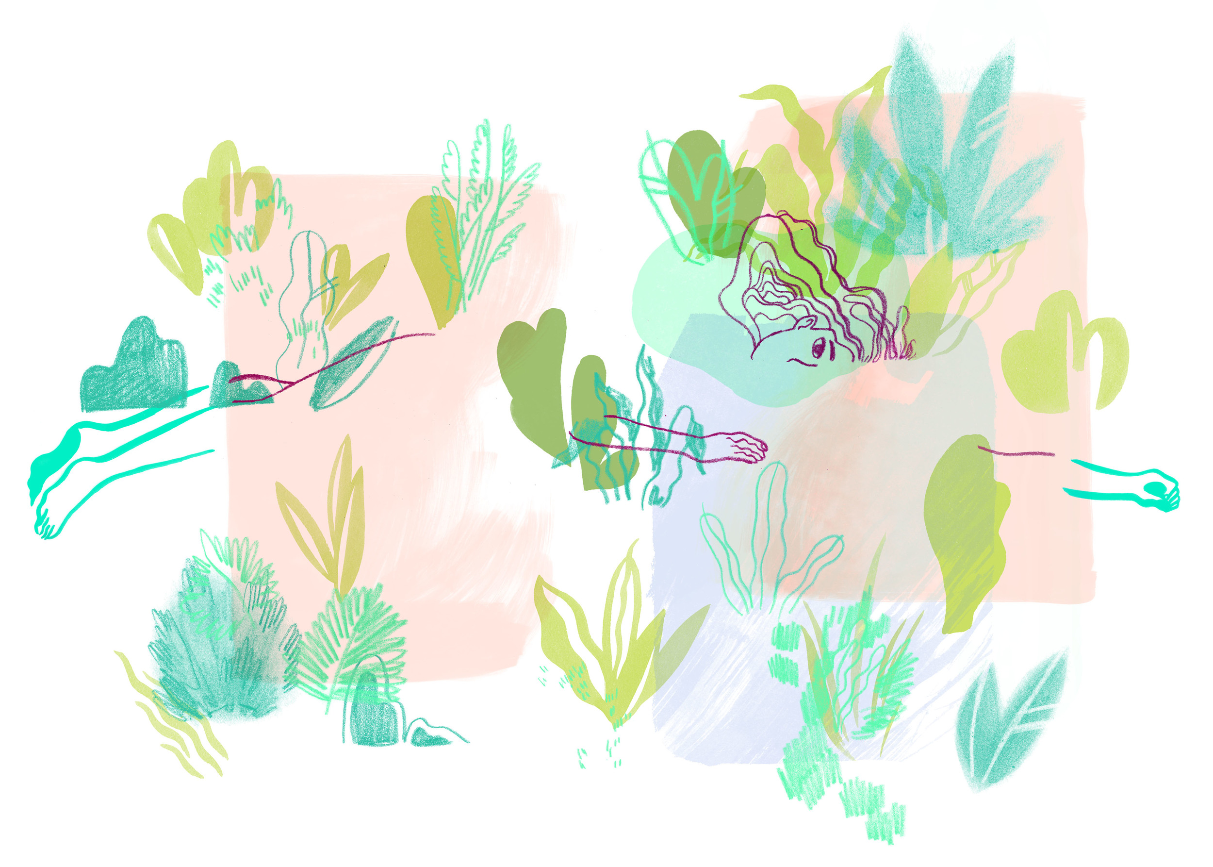 invisible garden rehash.jpg