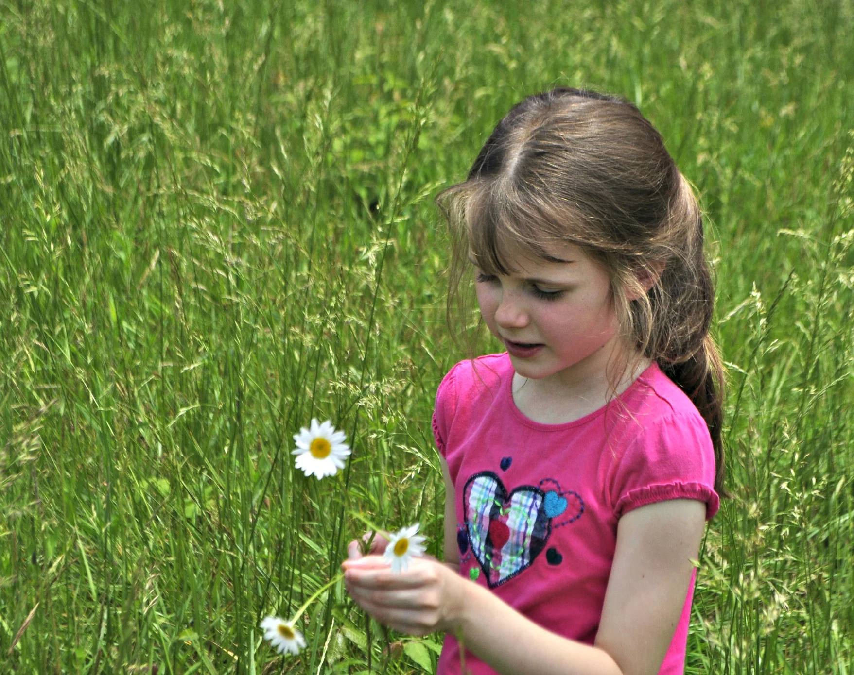 picking-flowers.jpg