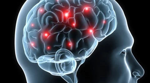Brain - stylised.jpg