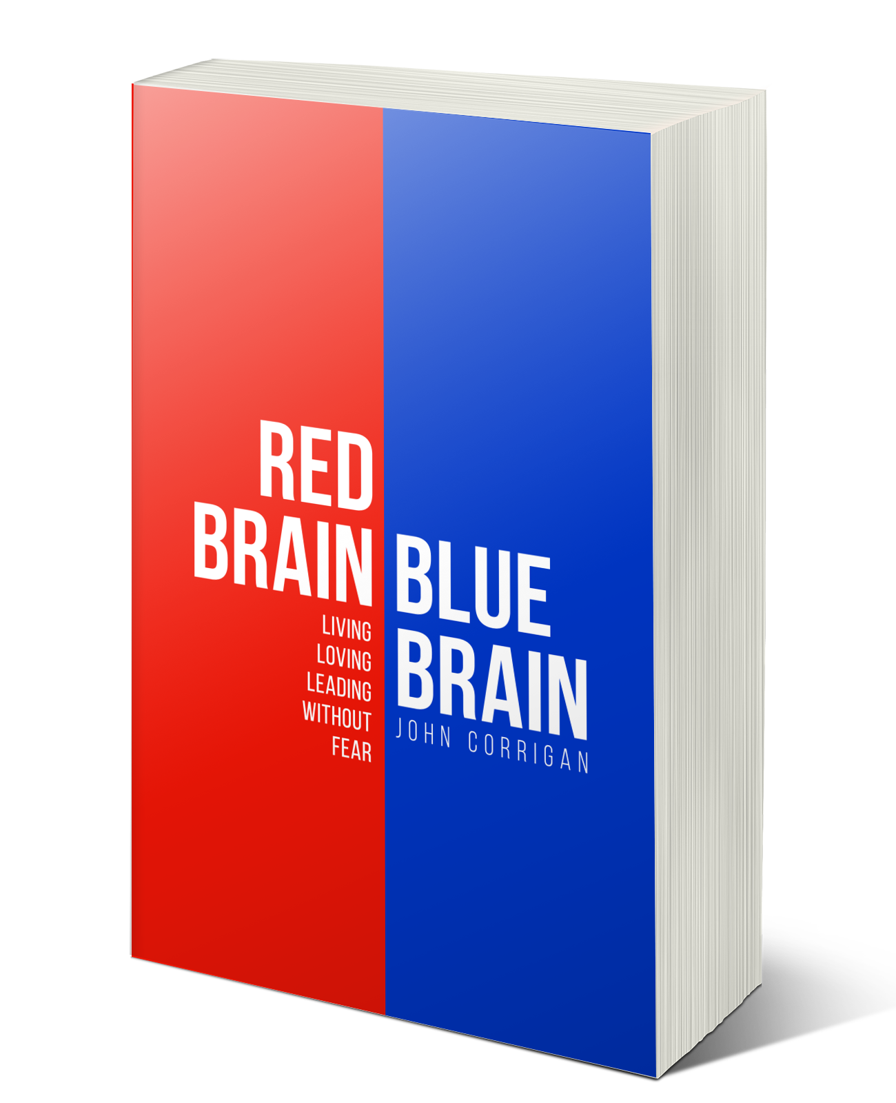 Red Brain Blue Brain Mock up.png