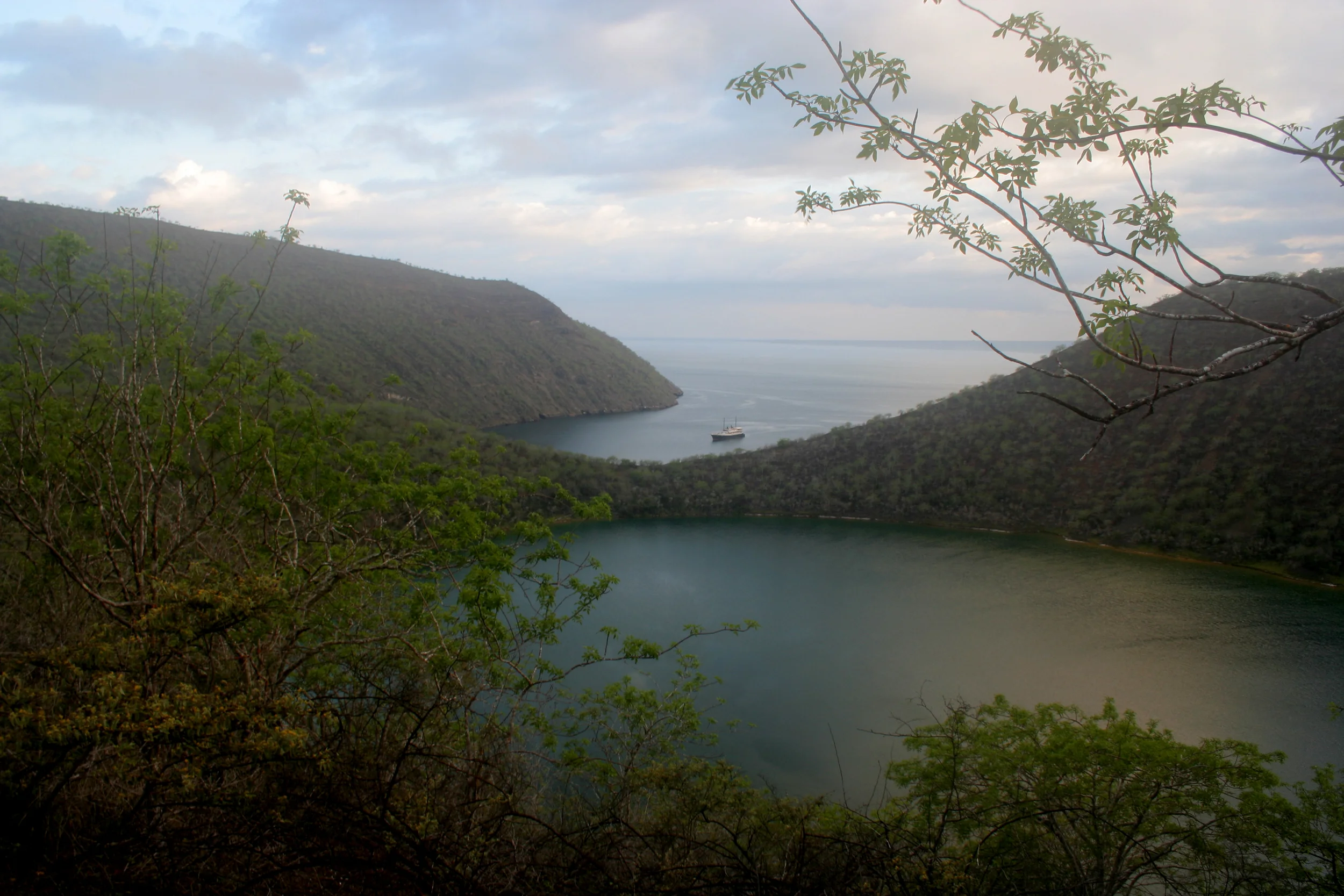 Darwin Lake015.JPG