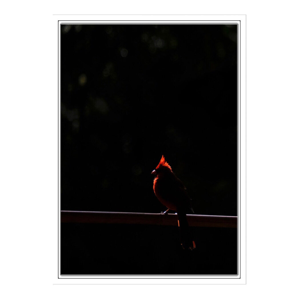 8428AB4D-5A8E-49CD-904F-D07E3CF18A2E