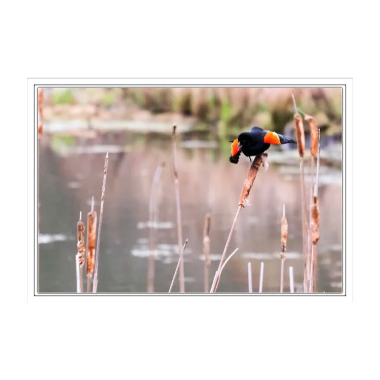 B8554607-2B94-4CA9-87EB-FA163F1CBB0C