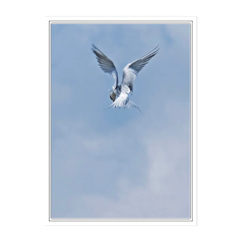 AE4CDF06-CF00-4F59-B219-7EE4B013FA24