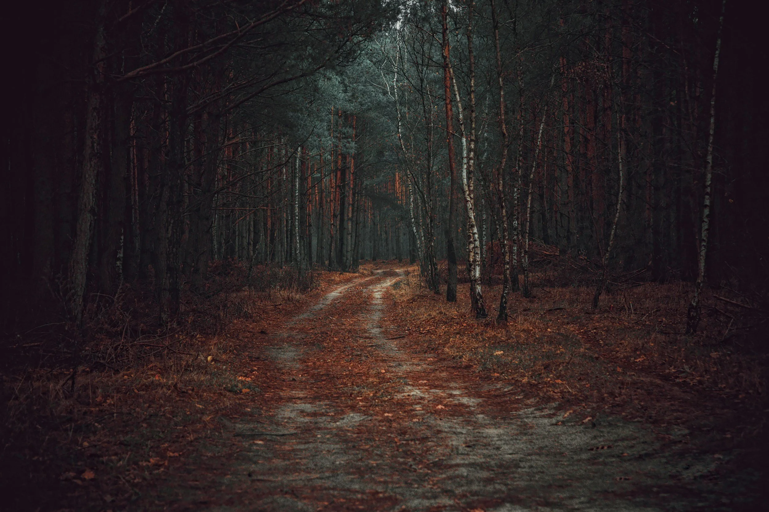 A winding dirt path through a dark, dense forest with tall trees and orange leaves on the ground, dusk or early evening lighting.