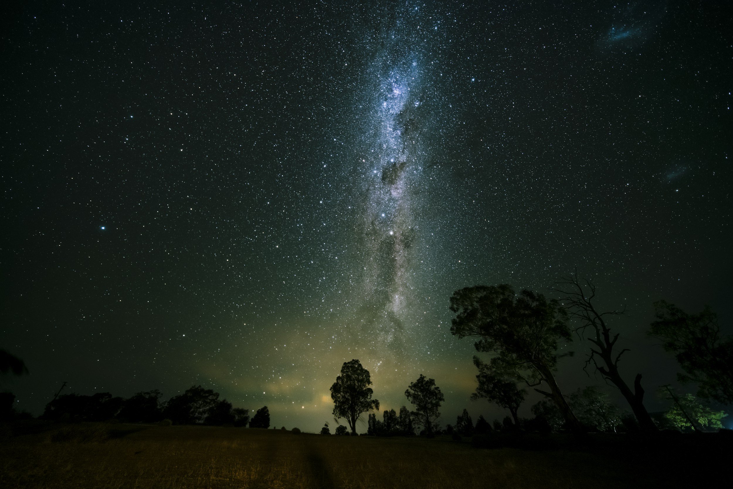 Night sky with a visible Milky Way galaxy and numerous stars, with silhouettes of trees in the foreground.