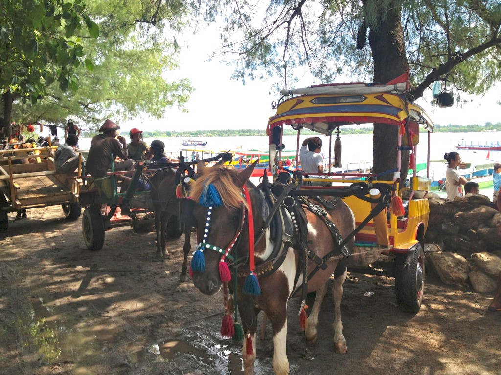 The only means of transport around Gili T is by horse and buggy