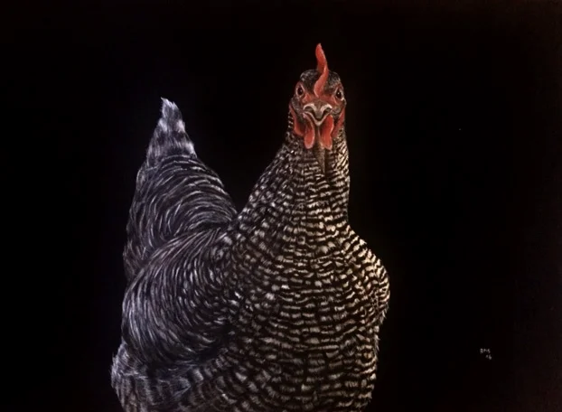 hen.jpg