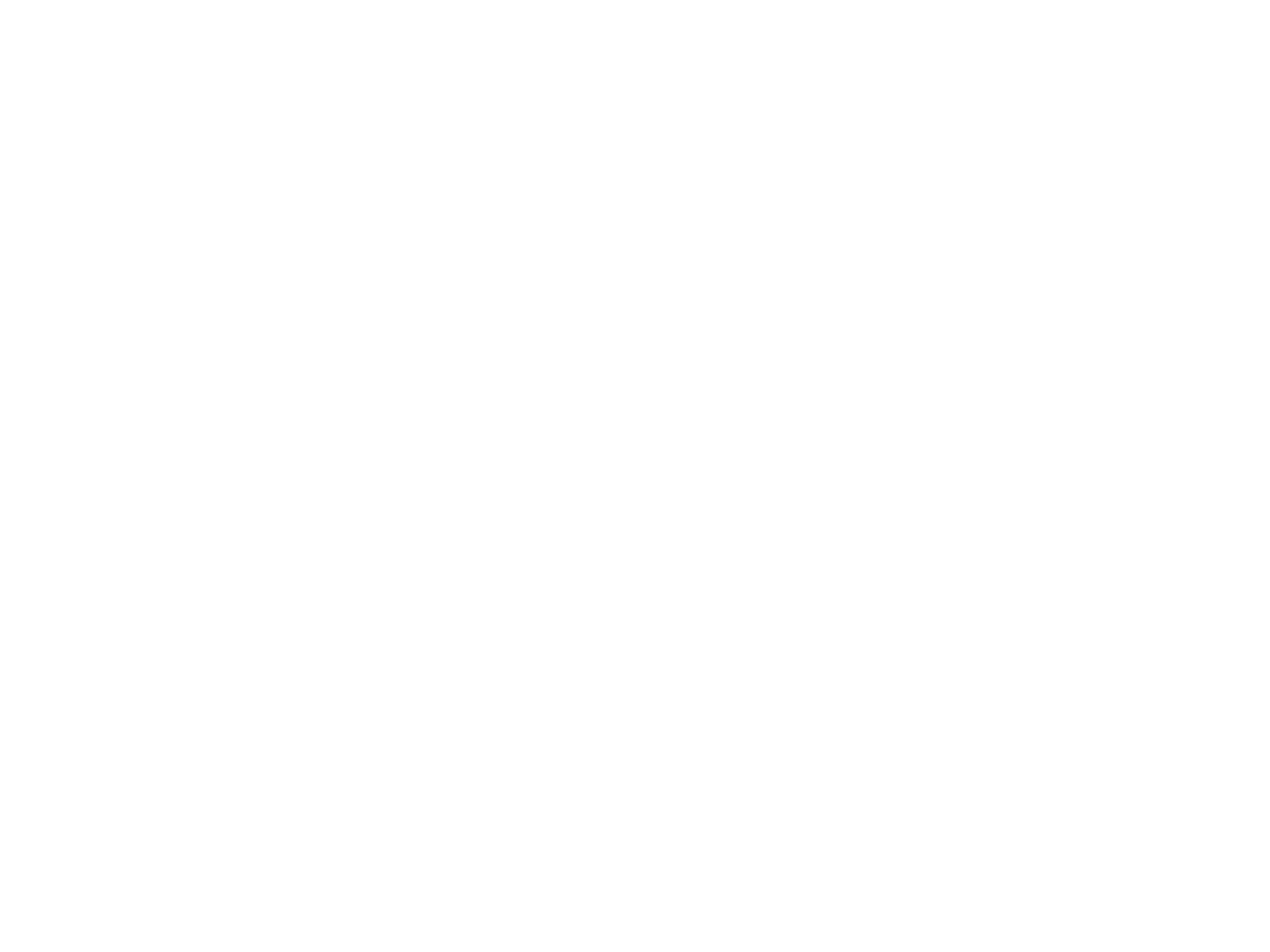white_logo_transparent.png