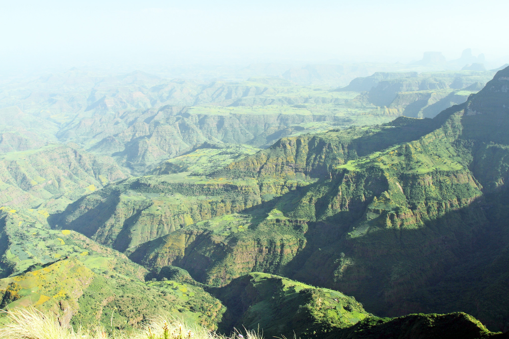 Simien4.jpeg
