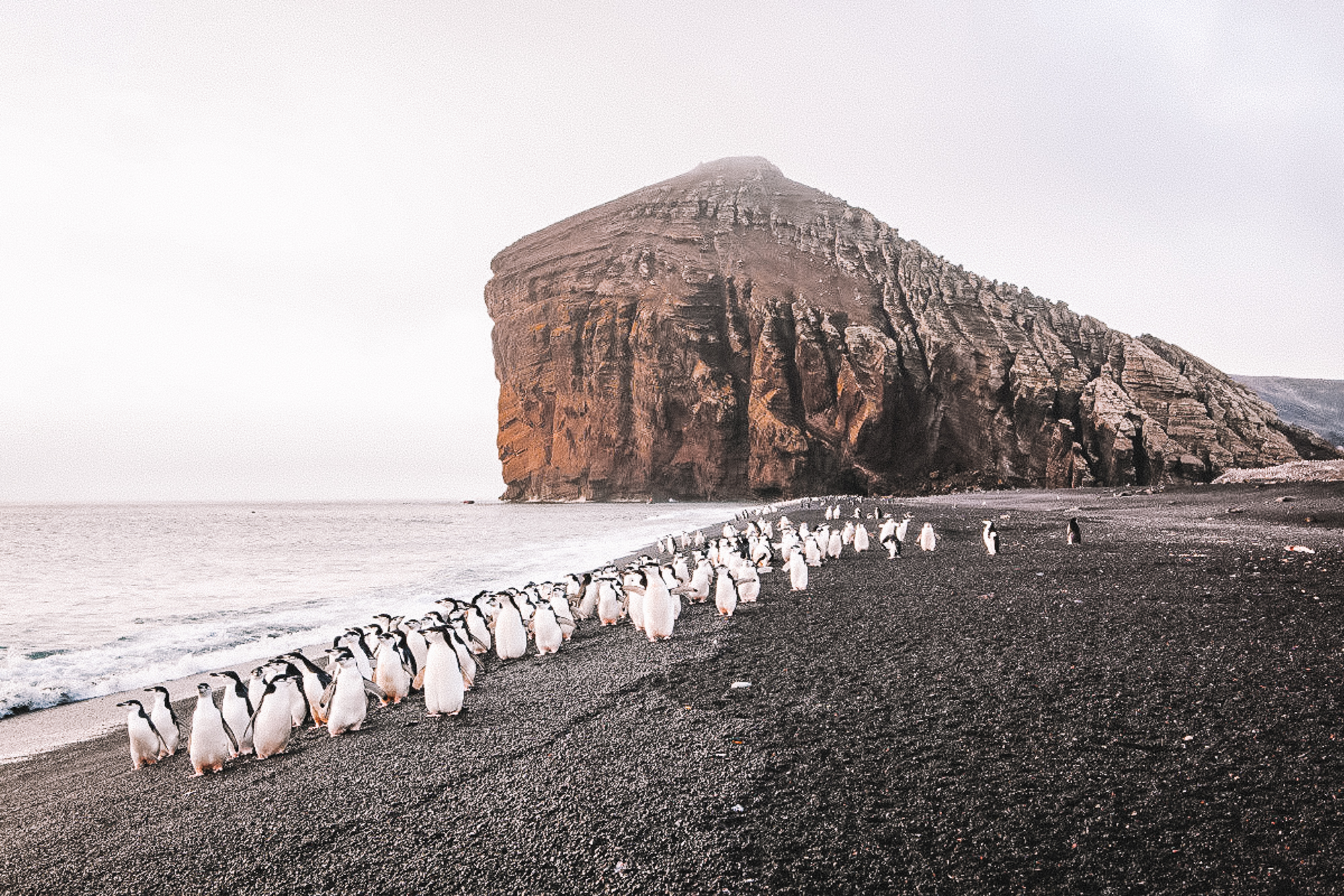 Antarctica-8.jpg