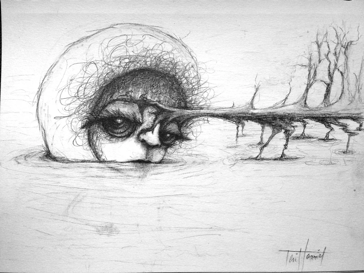 Graphite on paper • 7" x 10" • 2016