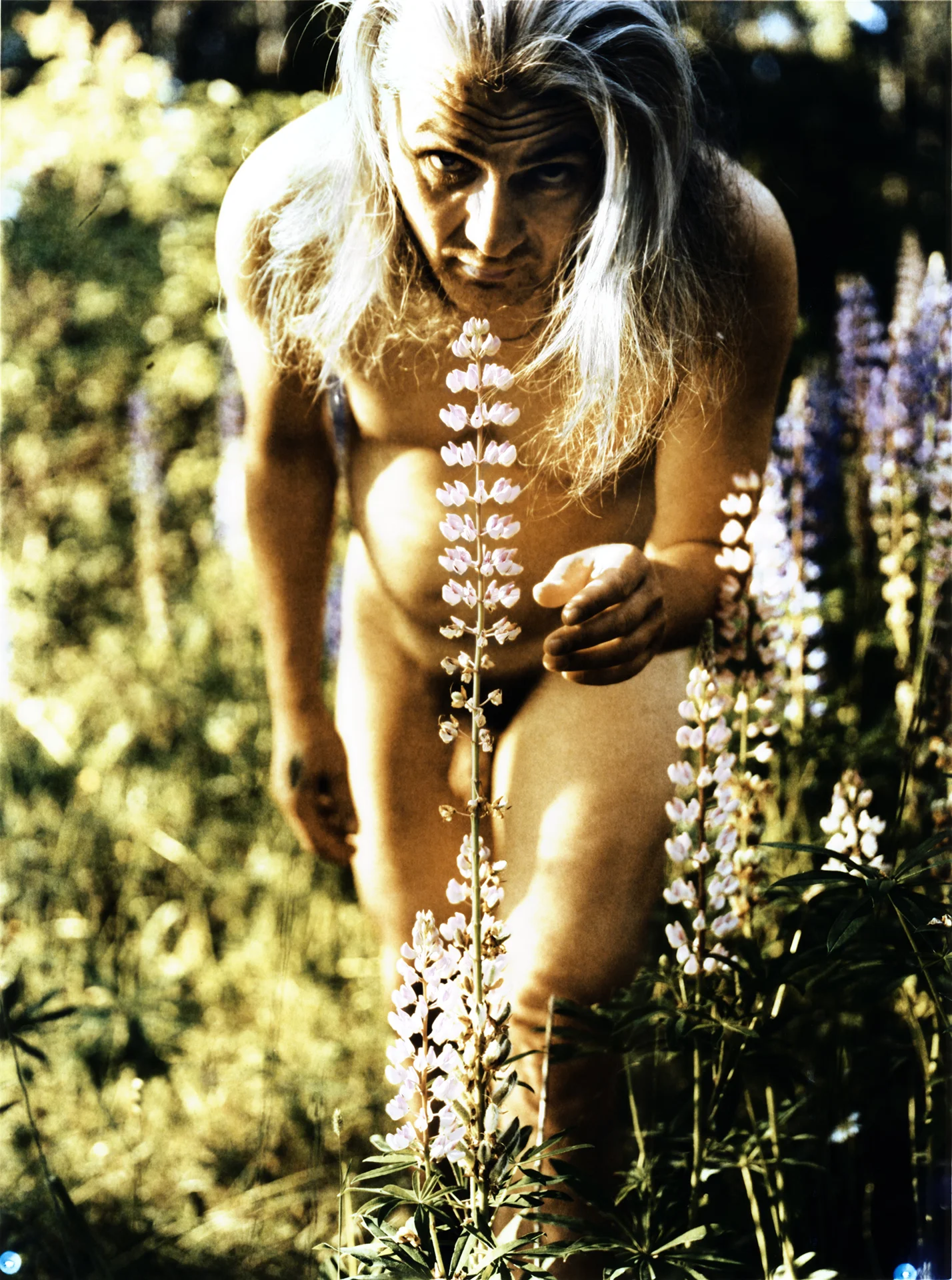 Sankarin koti06.jpg
