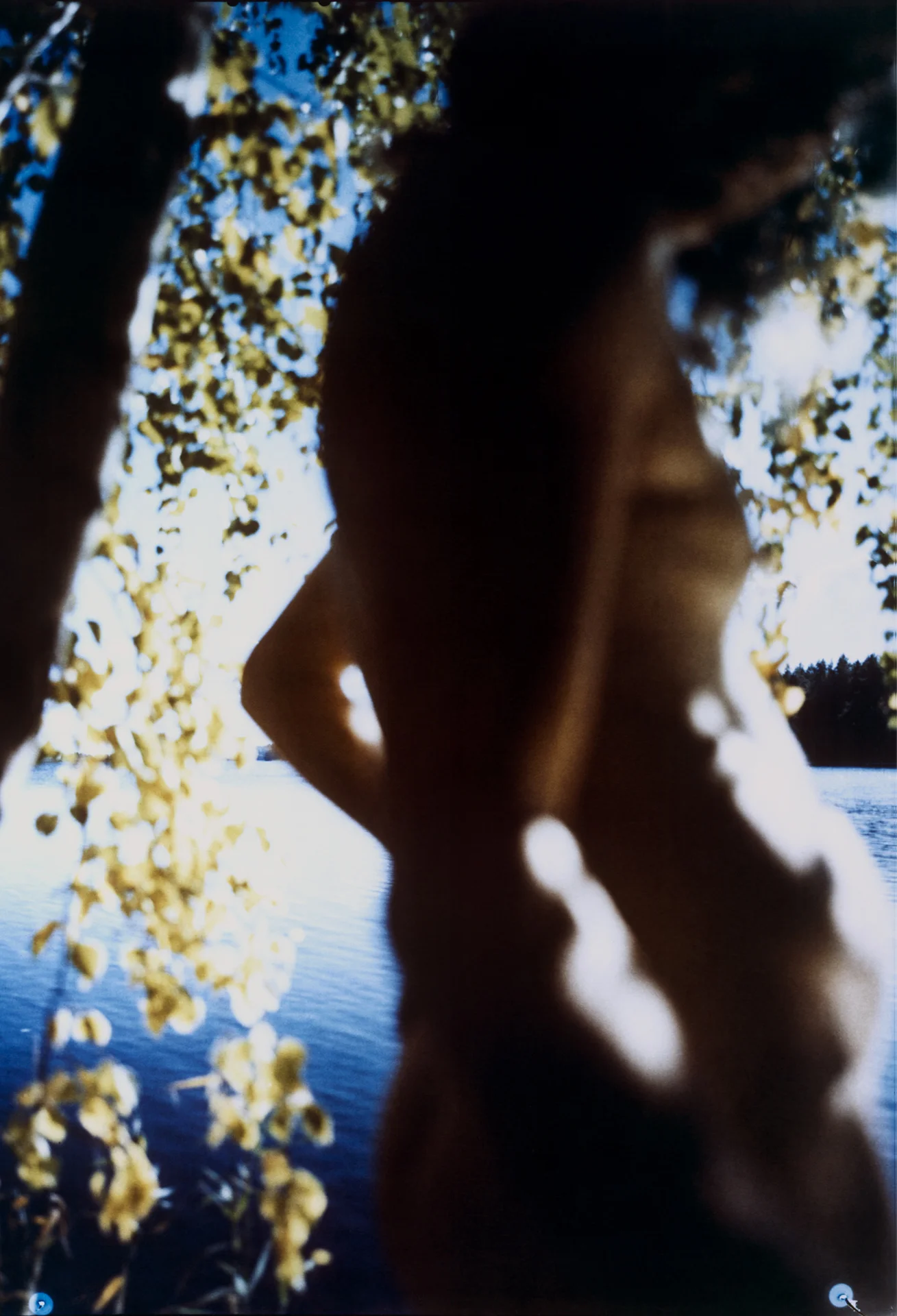 Scent of a Man12.jpg