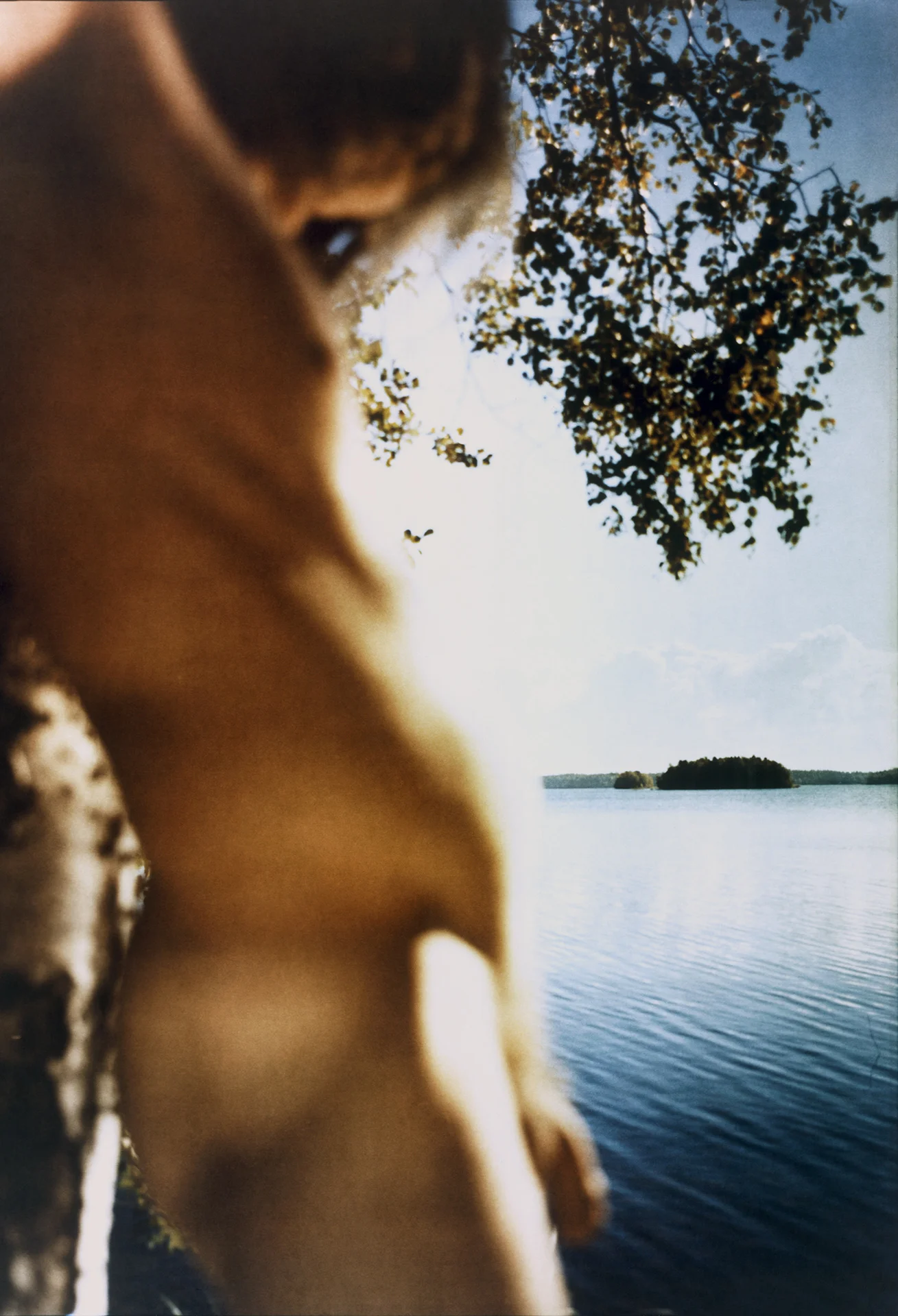 Scent of a Man15.jpg