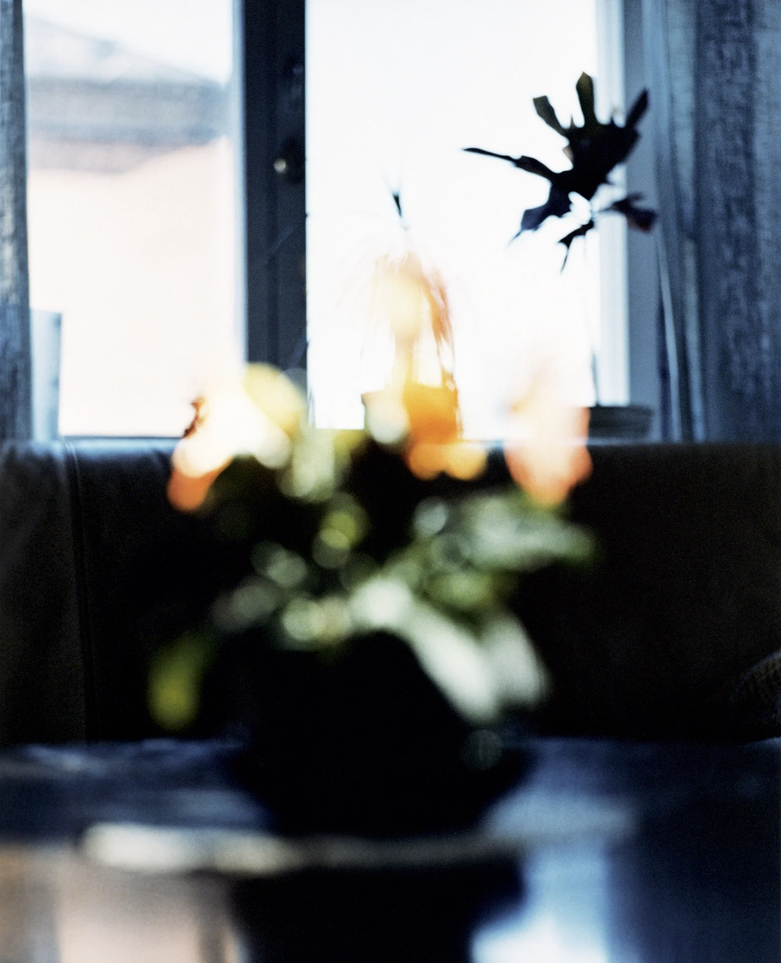Scent of a Man22.jpg