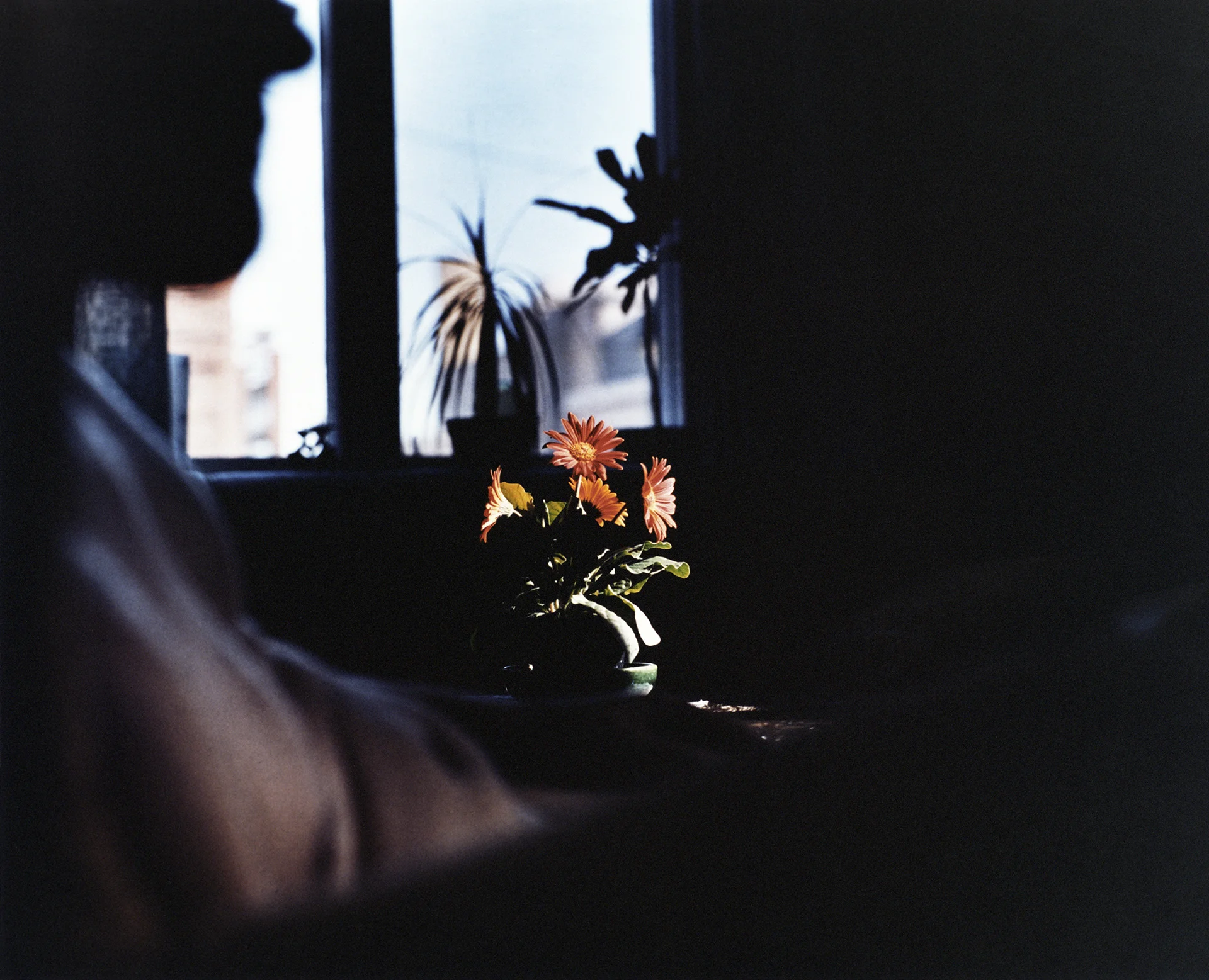 Scent of a Man26.jpg
