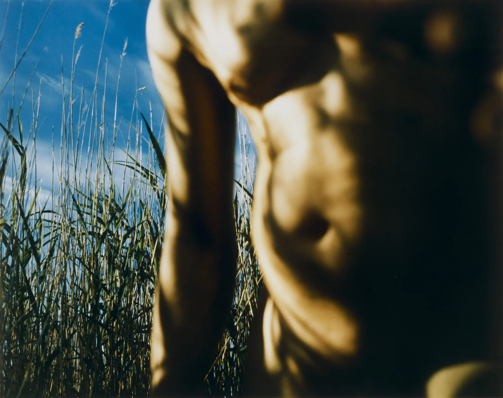 Return of a Hero03.jpg