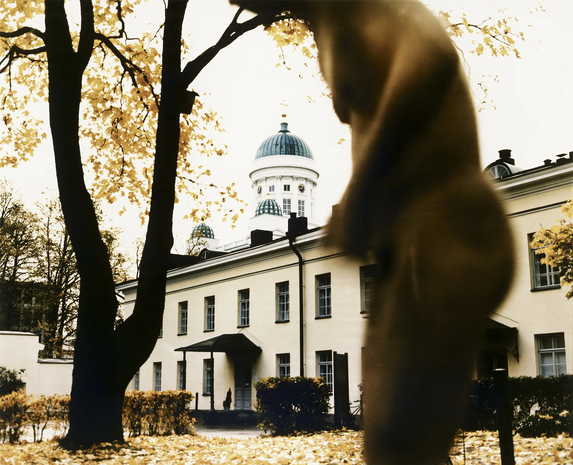 Return of a Hero10.jpg