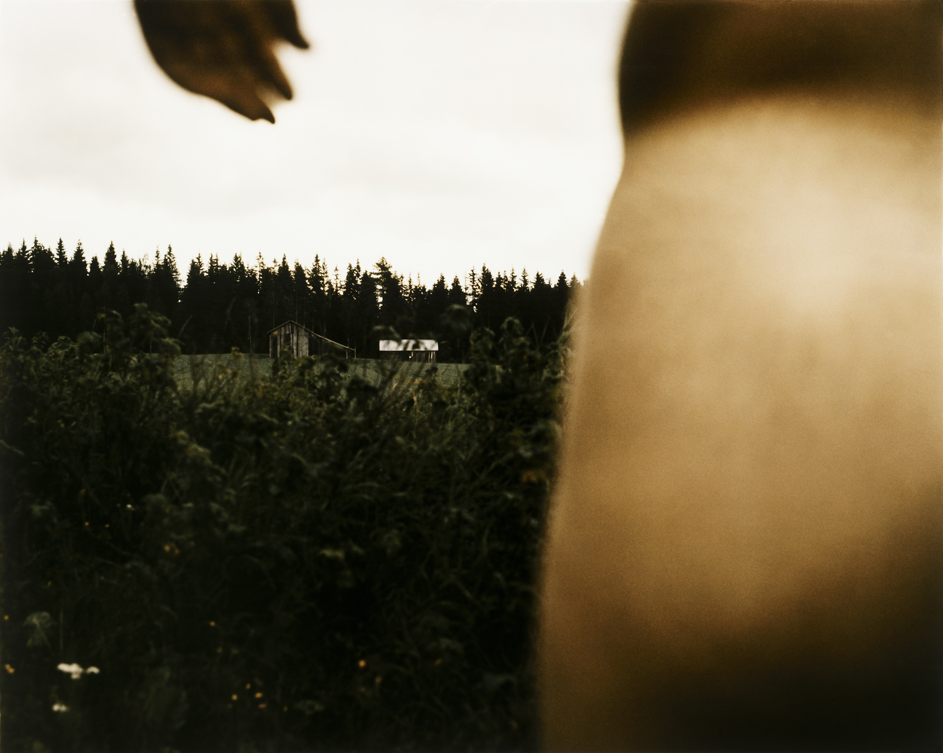 Return of a Hero12.jpg