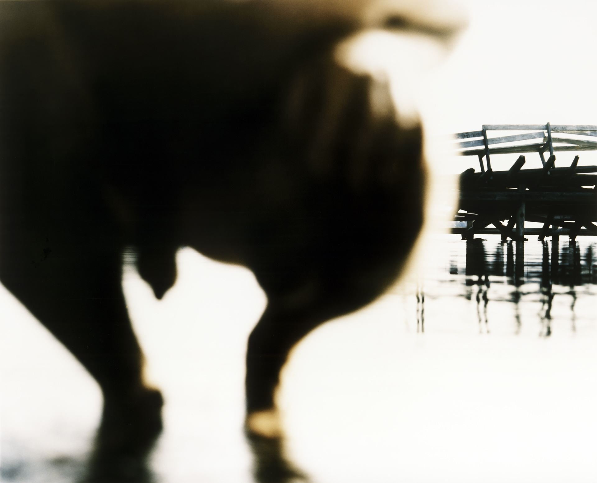 Return of a Hero16.jpg