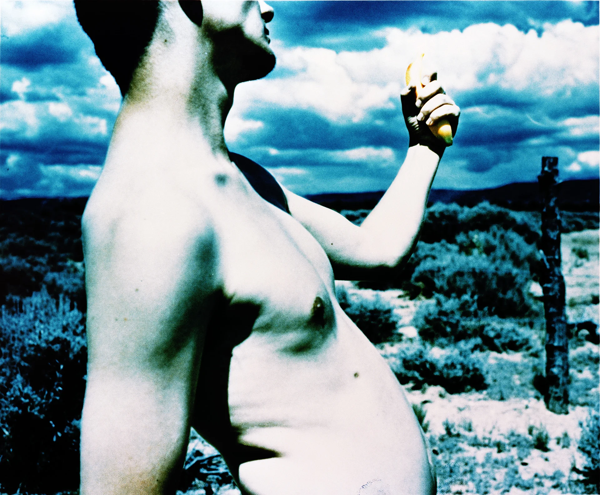 Mother Natures Son05.jpg