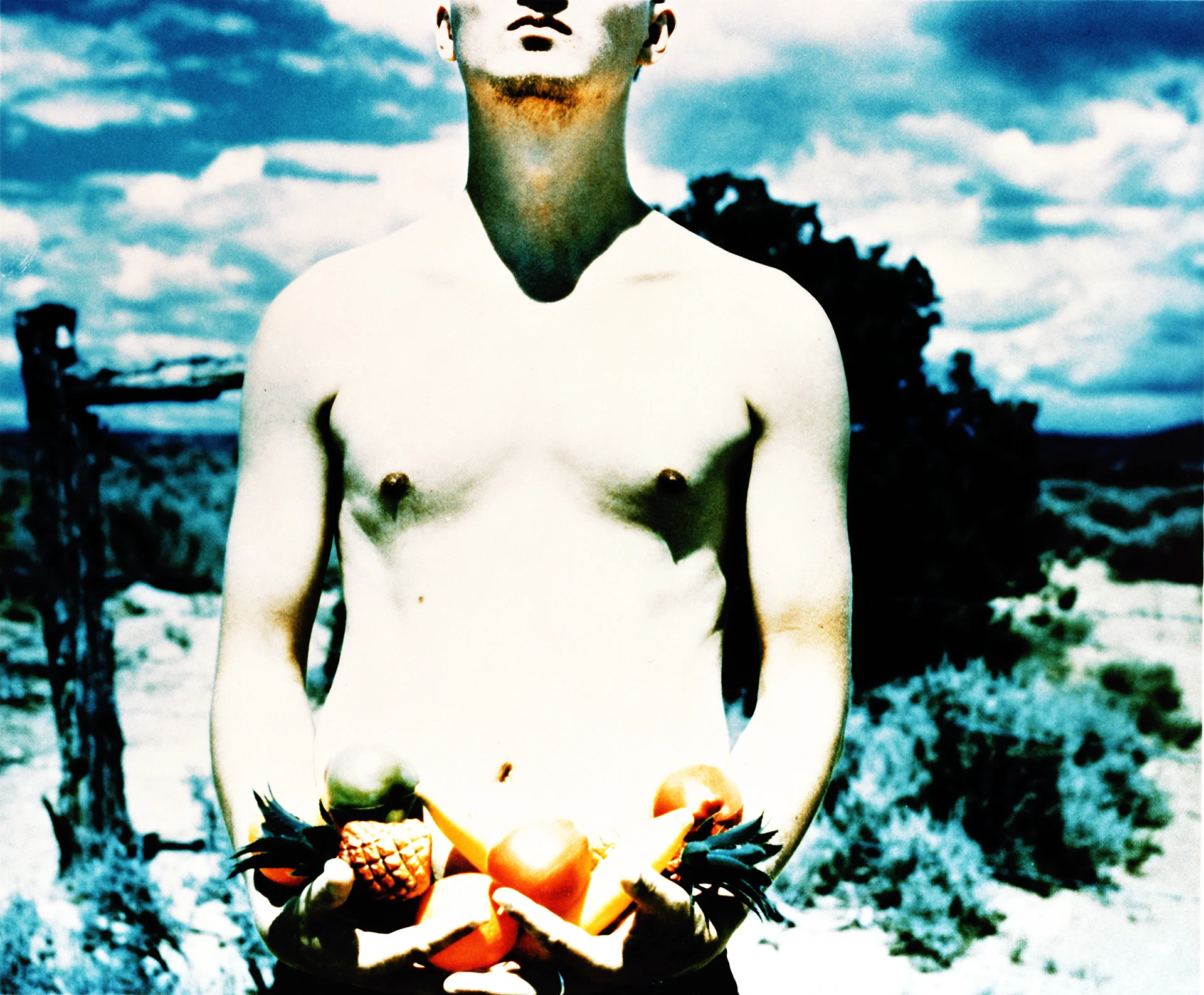 Mother Natures Son09.jpg