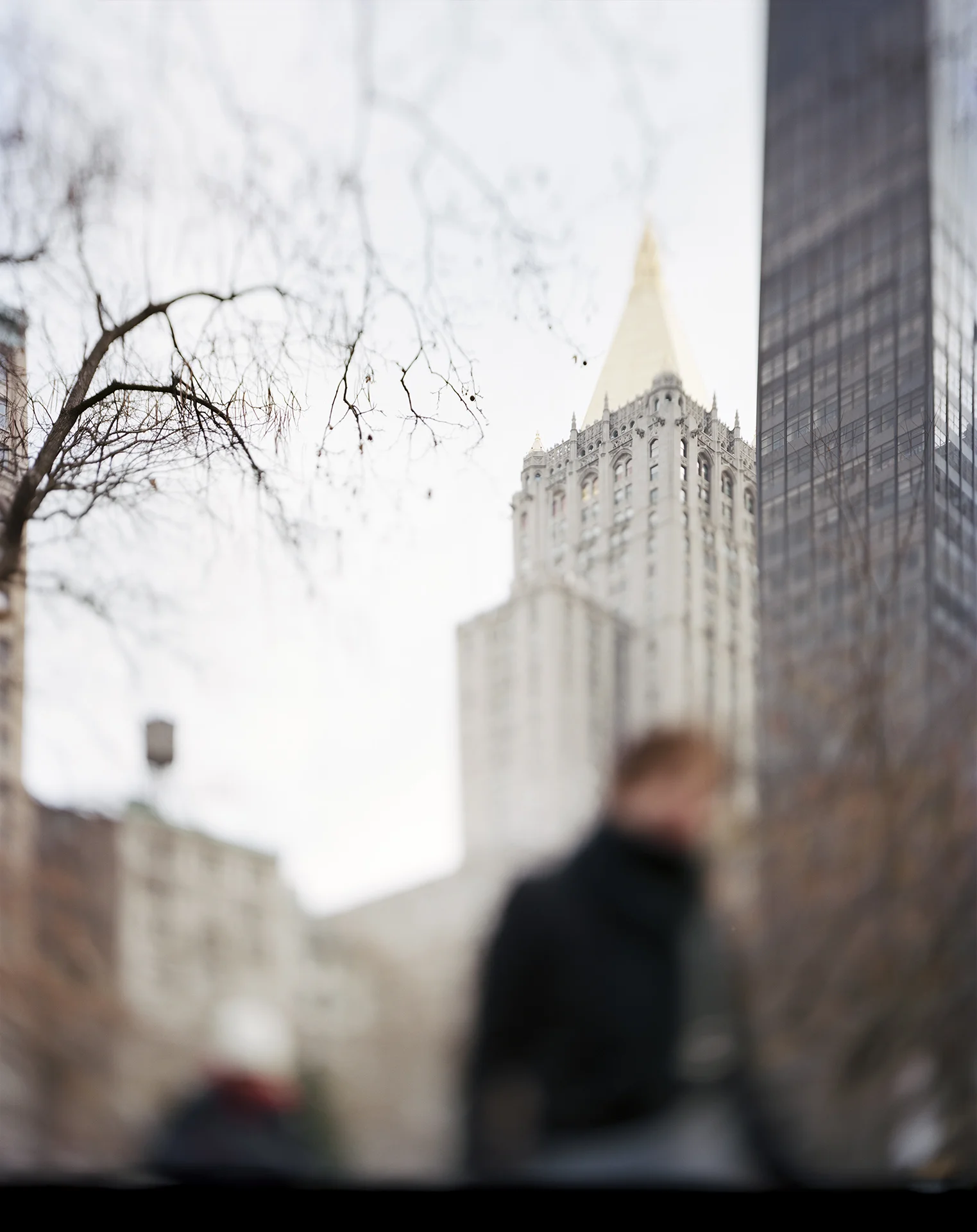 Madison Sq Park.jpg