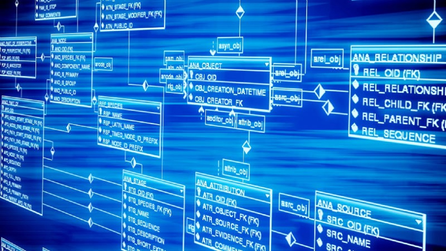 database.jpeg