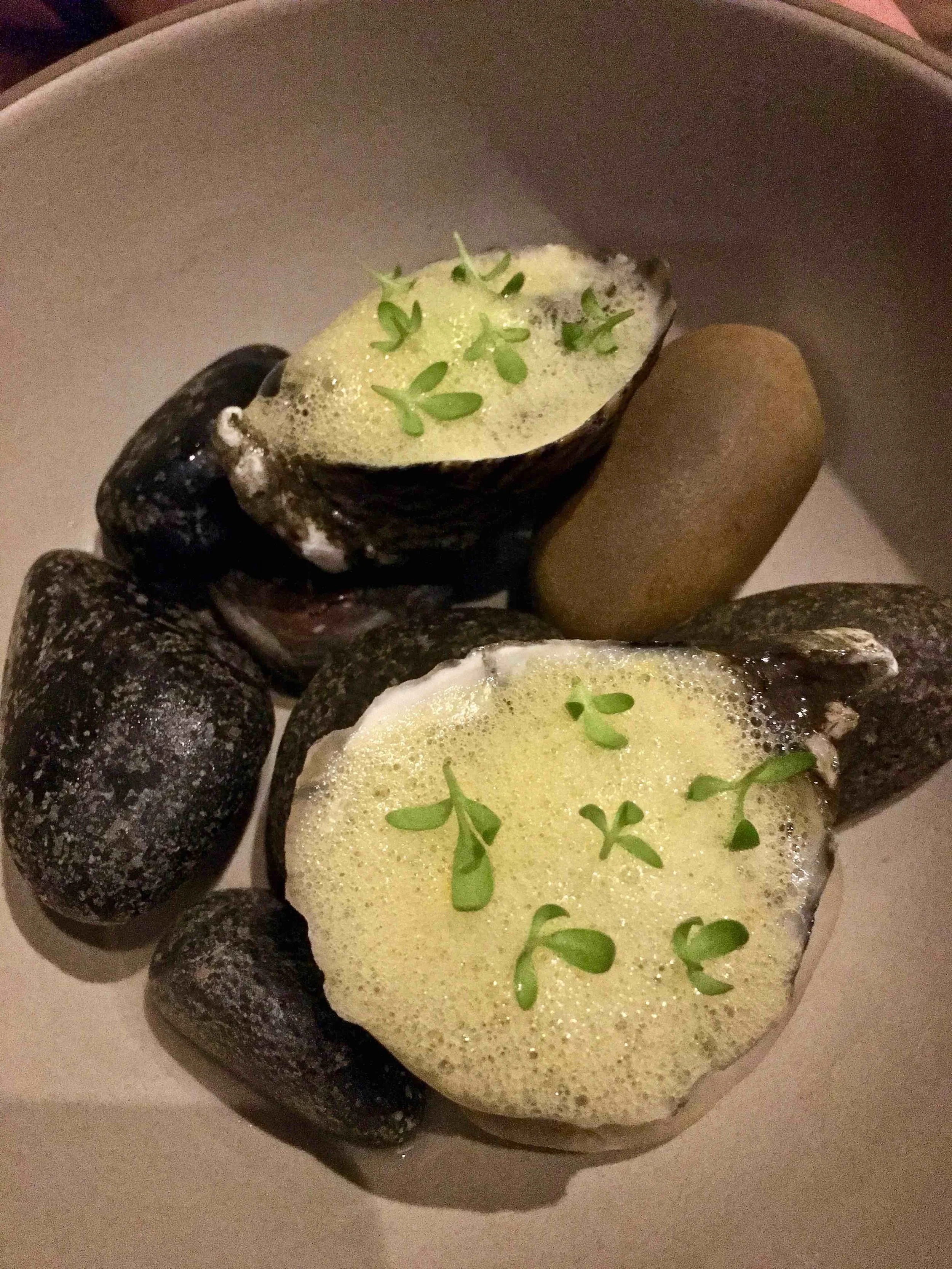 some shell thing with foam