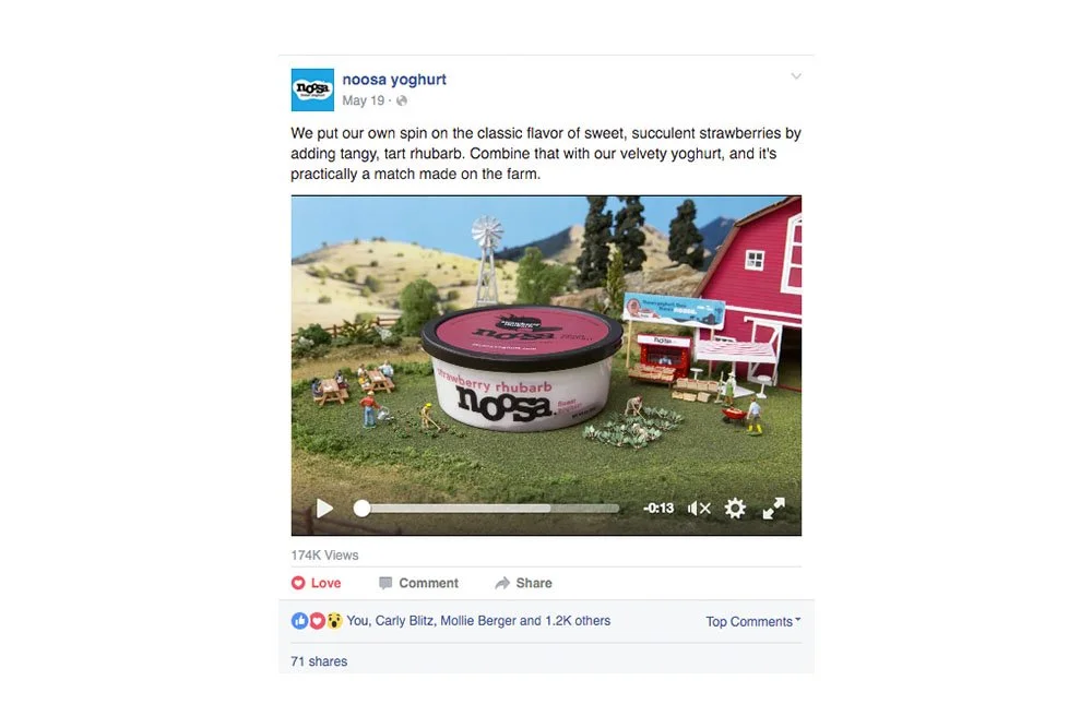 noo.jpeg