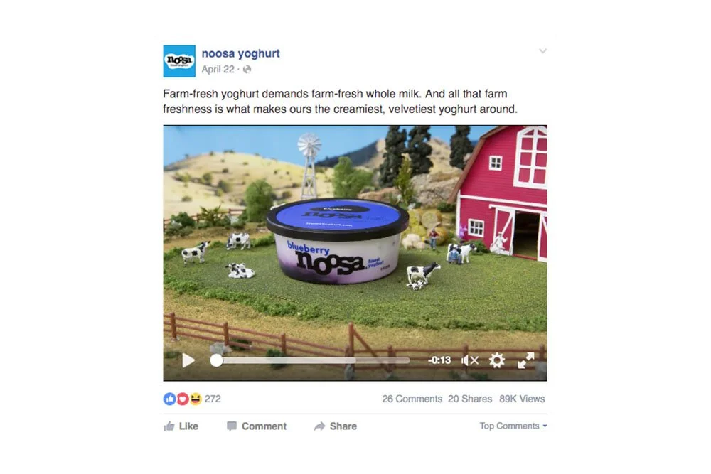 noo3.jpeg