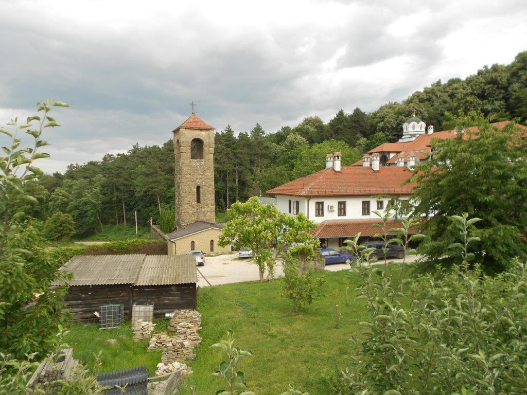 DSCN6142.jpg