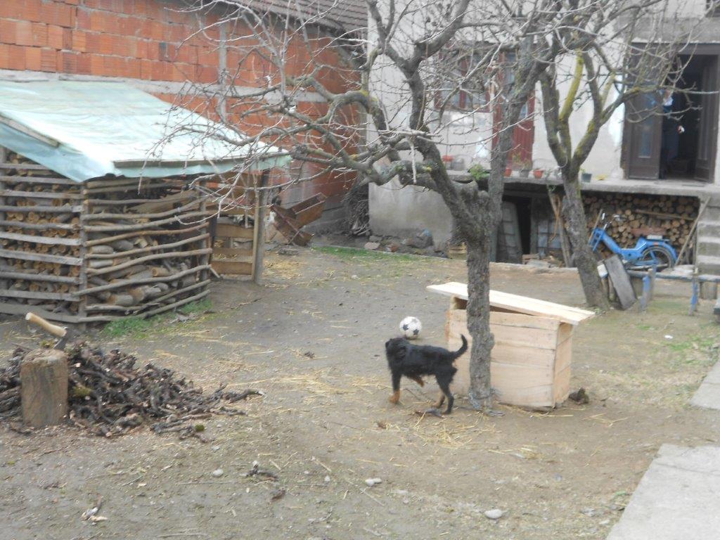 DSCN6964.jpg