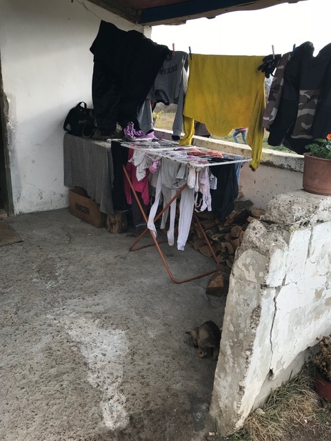 image1.jpeg