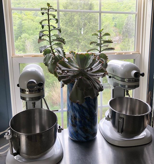 Since 2015 I have baked out of my little home kitchen. Some days I have tested the limits of this space, while other days things have been perfectly calm as I sat on my porch waiting for cakes to cool. In the next few months Asheville Cake will start