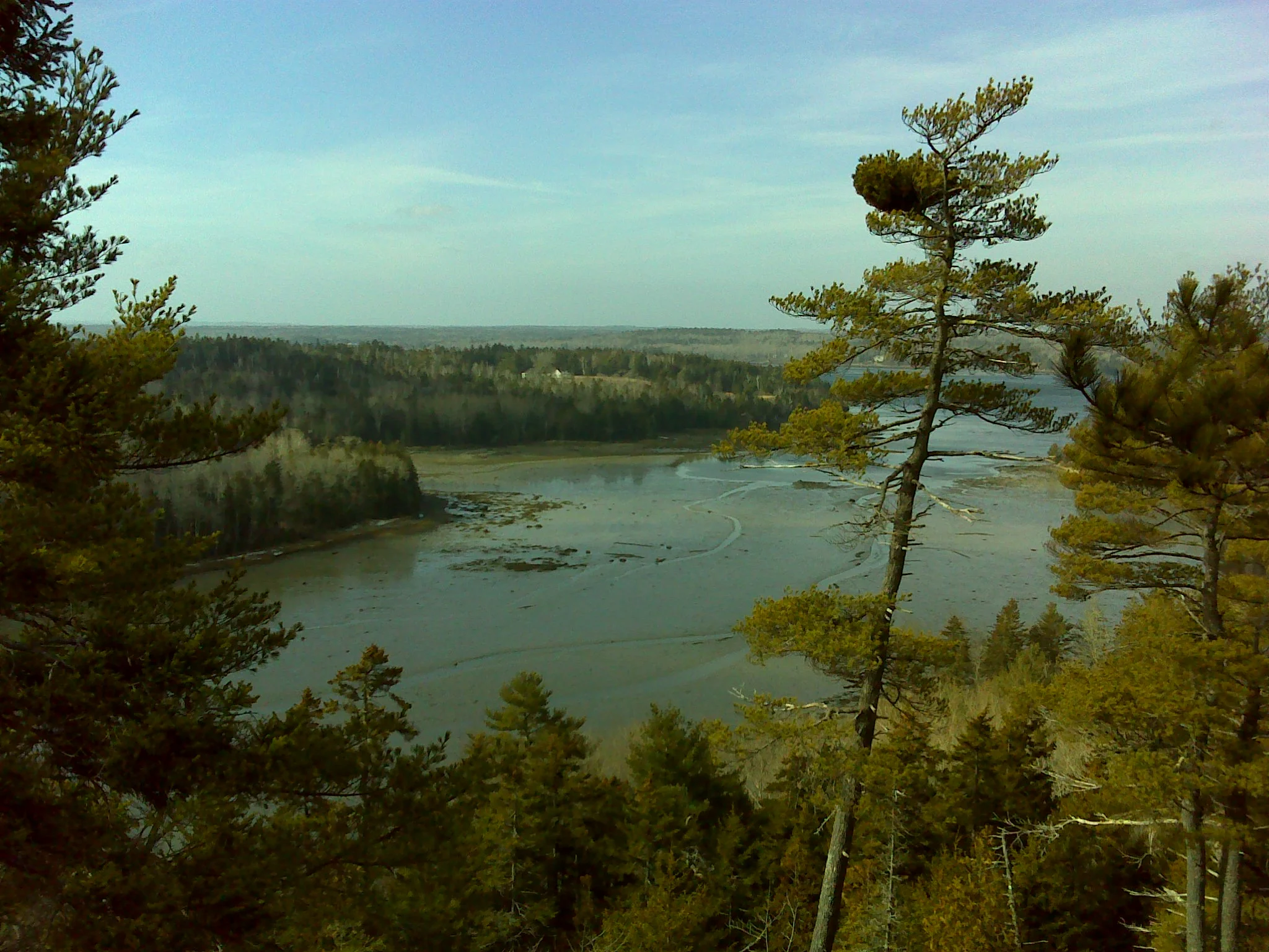 Long Cove from Tucker Mountain