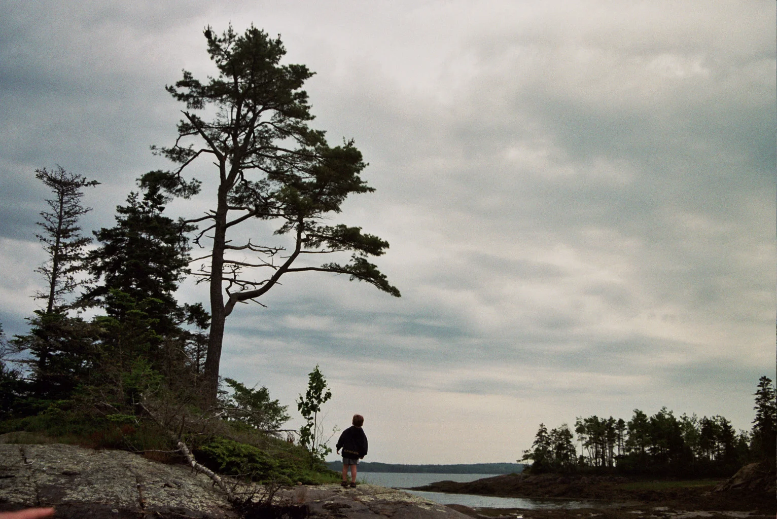 Popplestone Beach at low tide