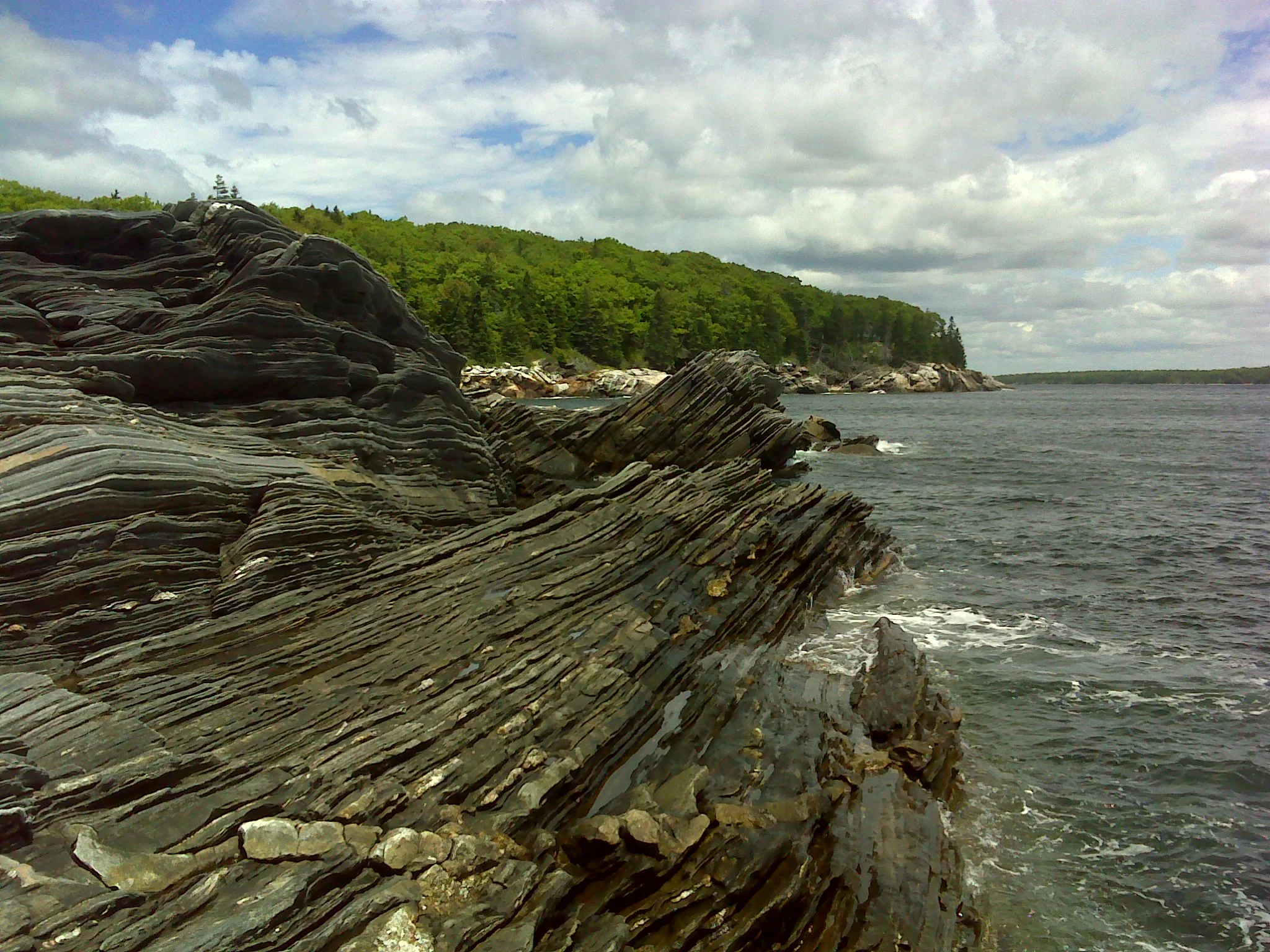 LaVerna Preserve in Bristol