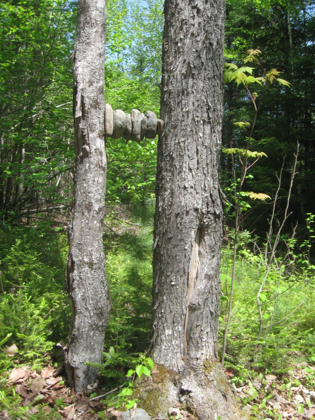 Gotta do something with all the rocks in the yard.