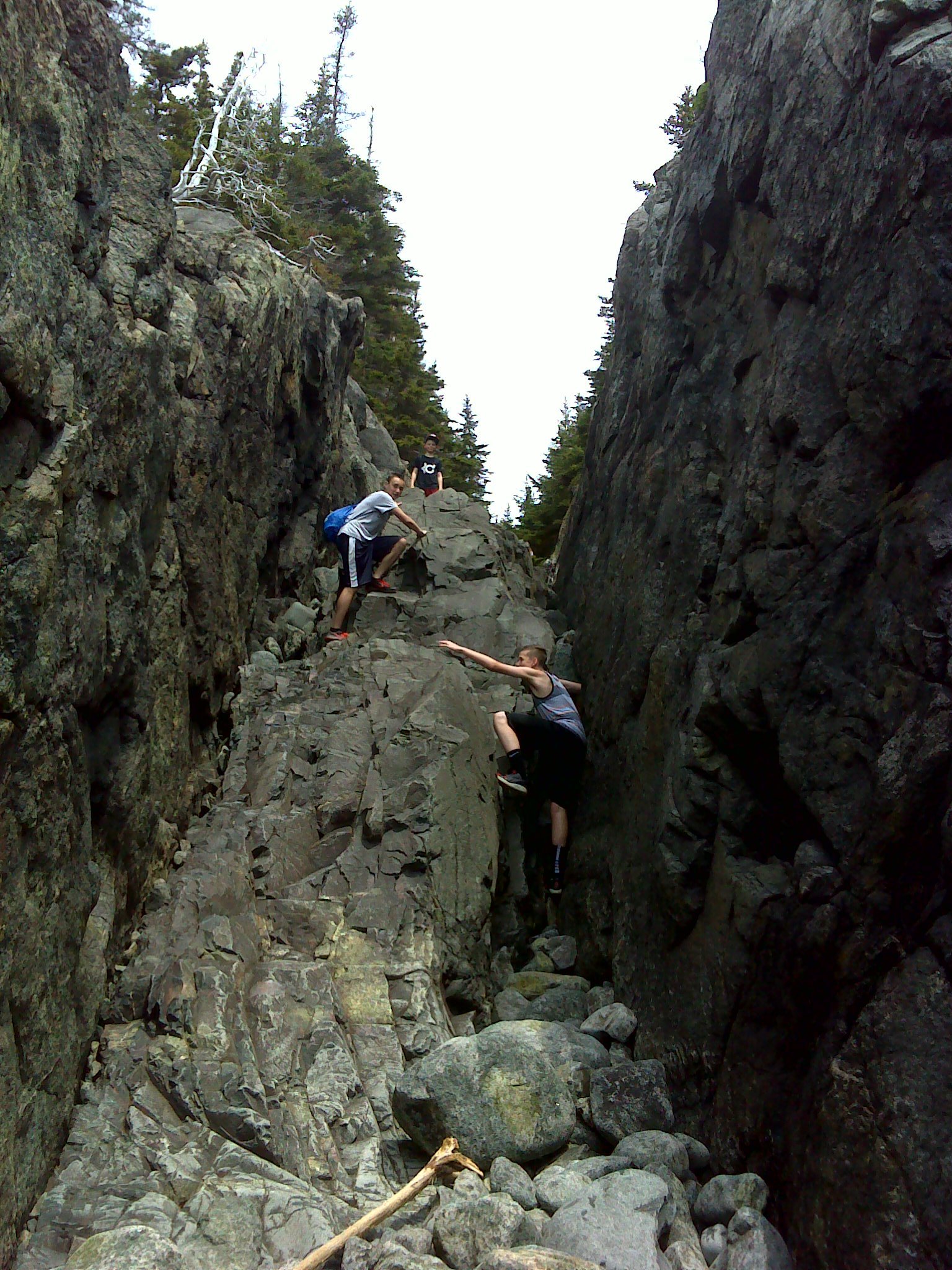 Western Head