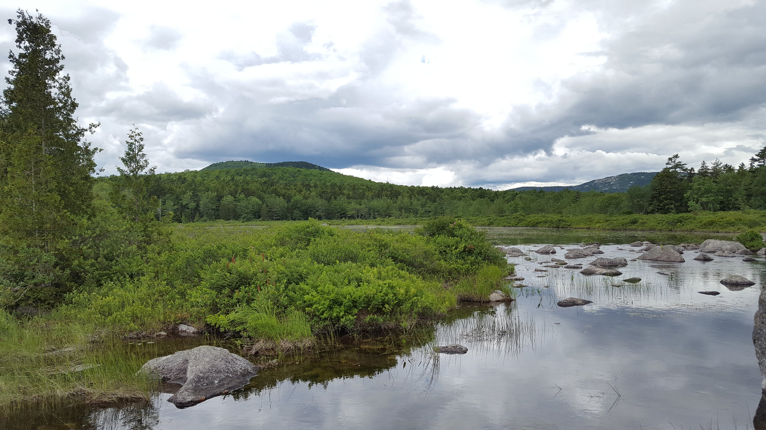 Catherine Mountain across the deadwater