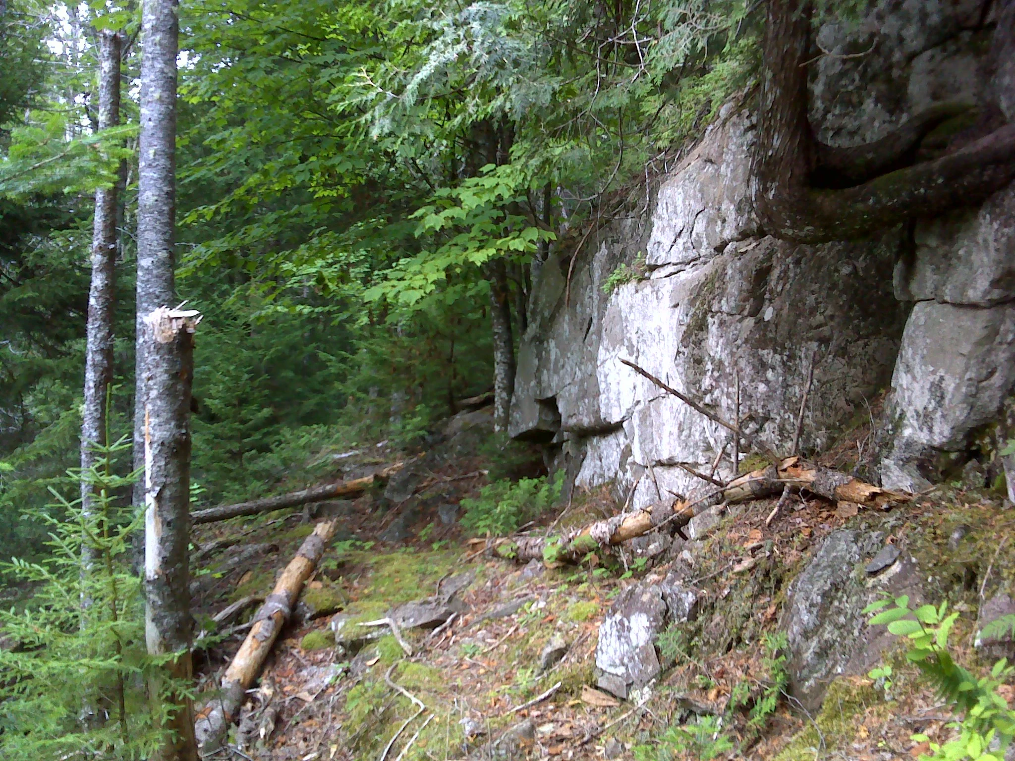 The rocky shoulder of Bell's Mountain