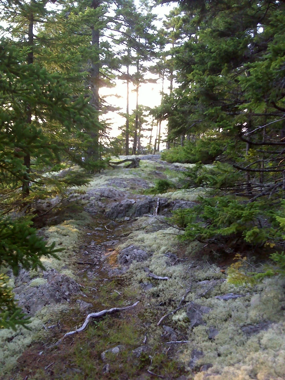 Approaching the overlook on Crane Mountain