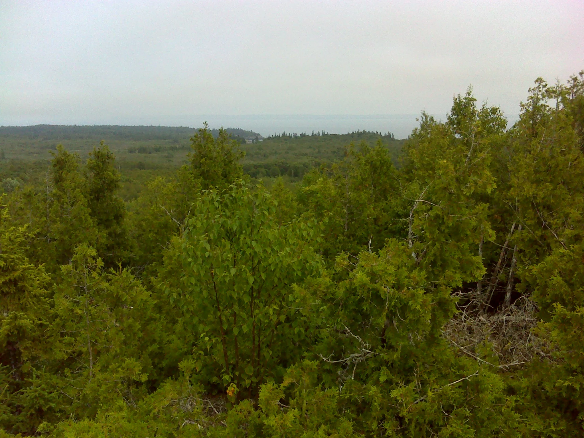 Hamilton Cove from the overlook