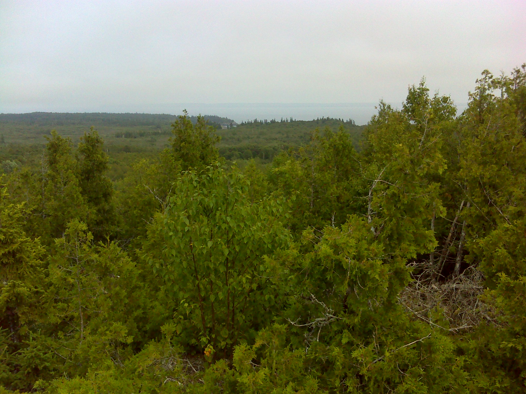 Hamilton Cove from the overlook