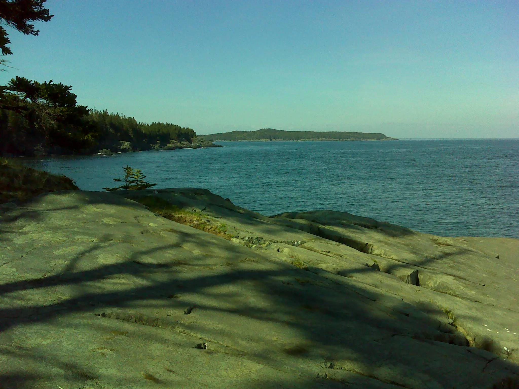 The view of Quoddy Head from the end of the Hamilton Cove Trail