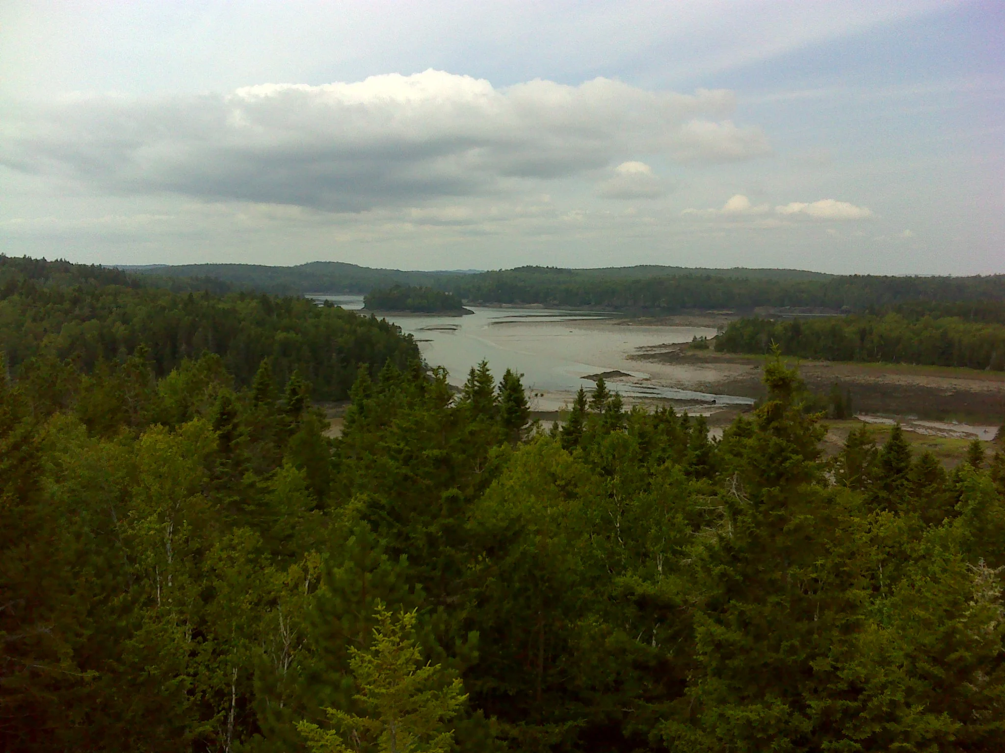 Looking west to South Bay at low tide