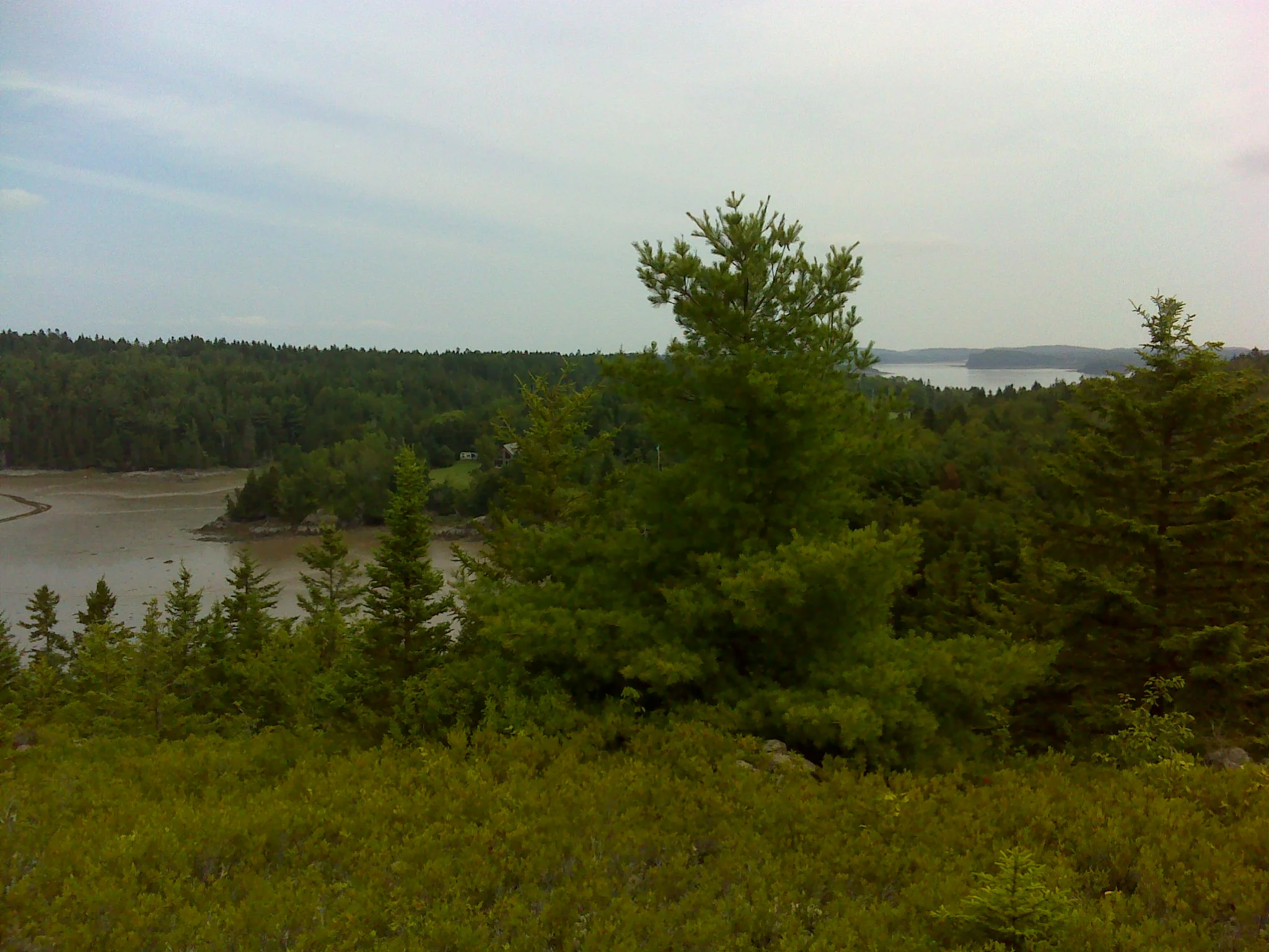 Looking north beyond South Bay to the main body of Cobscook Bay